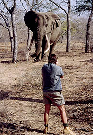 Daryl and tusker